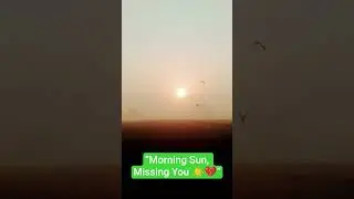 &ldquo;Watching the morning sun rise&hellip; but still missing you ☀️💔🎶&rdquo;#shorts #youtubeshorts  #music #morning
