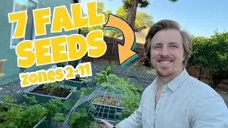 7 Fall Seeds You Can Plant in Zones 2-11