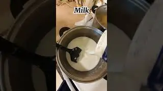 White Sauce Pasta