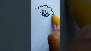 Morning Glory  Flower Drawing