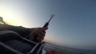 Jose l  espet&oacute;n o barracuda con algarin