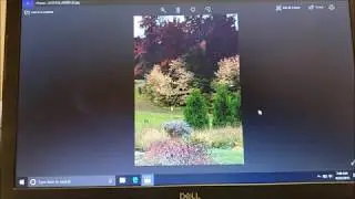 Windows 10 Photo Editor Quick & Easy Tutorial