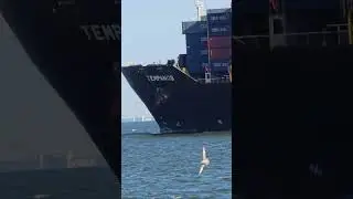 TEMPANOS Full Speed Past Old Point Comfort 🌊🌊 #fast #shipping #incredible #extreme #ship