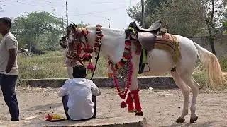 Har kishiko nahi milata / Jay Bhavani banjo group umerga/ 9112126040//9112676040 