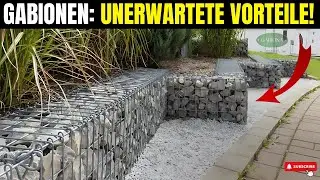 Vorteile von Gabionen-Umrandungen: Stilvoll, pflegeleicht und langlebig