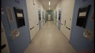Crime, schools teaching kids to be safe, stray cat family Great Ormond Street hospital (London/UK)