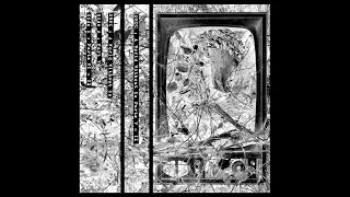 DNOC - A World Without Us, Parts V-IX (2025)
