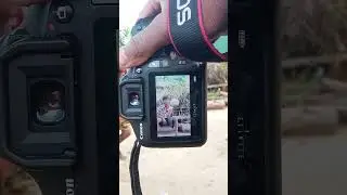 Canon 80d Photography tips 💥📸 #camera #photography #shorts #trending