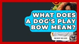 What Does A Dog's Play Bow Mean? - Obedient Dog Guide