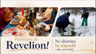 Petrecere anul nou cu prietenii dragi- Montăm biblioteca IKEA - zăpadă 