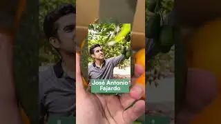 Unboxing subscription box February
