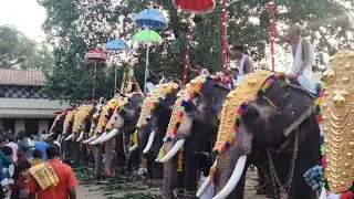 Nelluvai Sree Dhanwanthari Temple Ekadasi  (30/12/2025)