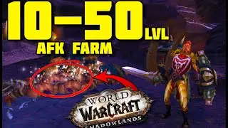 ⚠️АФК прокачка персонажа 10-50⚠️WoW Shadowlands Prepatch 9.0.1⚠️
