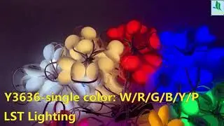 Y3636 LED module Single color optional DC12V / Round lens Holiday  decoration lights wonderful color