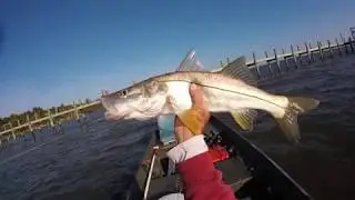 Winter Fishing in the Indian River