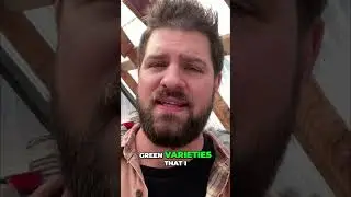 Семена Baker Creek &mdash; мои любимые сорта в саду!