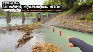 SPOT INI SURGA BAGI PECINTA MICROFISHING!! Mancing wader dan melem umpan rasbora spot Kalimeneng
