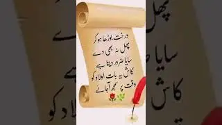 #deeplines