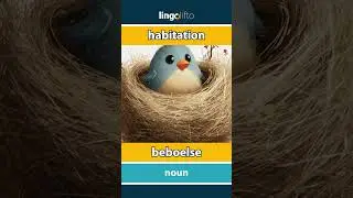 🇬🇧🇳🇴 habitation - beboelse : learn English : la oss l&aelig;re engelsk : vocabulary builder