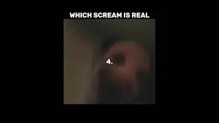 vita carnis meme | which scream is real with elder mimic #vitacarnis
