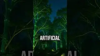 Nature's light show! #biotech #innovation #sustainability
