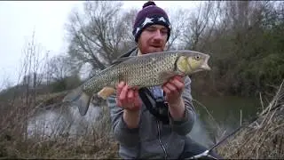 Fishing the River/Creek With the Stick Float Method (Surprise Catch)