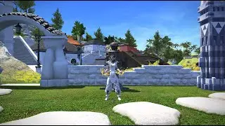 FFXIV 5.3 - Monk 5 Min Rotation w/ skills display -  PB opener - True/Twin