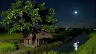Soft Piano Music for Sleep to Help You Relax Deeply and Fall Asleep Much Faster