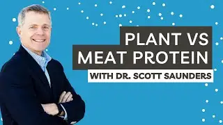 Plant VS Meat Protein