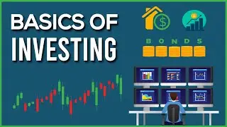 Unlock financial freedom with the basics of investing