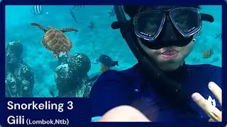 Menikmati Keindahan Pesona Bawah Laut 3 Gili (Trawangan, Meno, Air) | Lombok, NTB