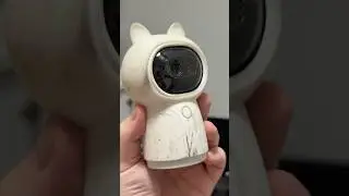 😱Почему оно НЕ ВЫЖИЛО?❌