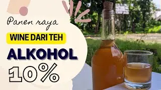 FERMENTASI TEH SERBUK MENJADI WINE YANG ENAK DENGAN KADAR ALKOHOL 10% | Part 2