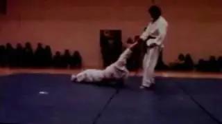 Hapkido demo 1 - Master Hwang In Sik