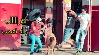 مقلب نفخ خروف العيد مول البنوات شير عليا برويضا كان غادي يقتلني