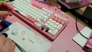 How to lube mechanical keyboard switches. Akko jelly pink. Akko 3098b