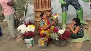 রানাঘাট চাপরা ফুলের সর্গ #viralvdeo 