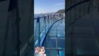 A cat enjoying quiet moments in the sky, new cities. #cityarrival #travel