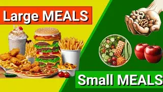Large Meals vs. Small Meals:    The Science Behind Large, Infrequent Meals