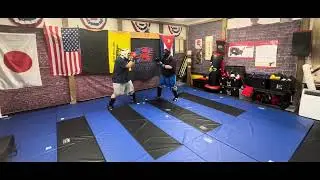 Making martial arts great again!