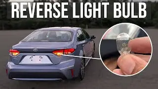 How to Replace Reverse Light Bulb - Toyota Corolla (2019-2026)