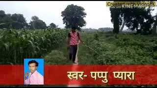 Pappu pyara