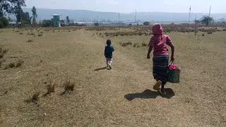 አረ እኔ አልቻልኩ መቸ ነው  የምስማሙት ፍሬ ልጁደከመኝ😥