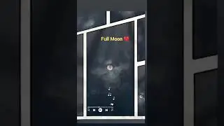 night love NightVibes #NightLife #LateNight #Midnight #NightMood #NightTime #DarkVibes #MoonLight