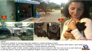 Cres Cat Rescue 2018