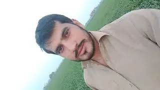 AM301