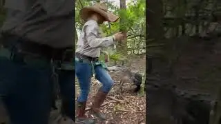 Terminator the Rescue Alligator‼️ #alligator #rescue #shorts