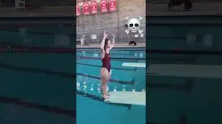 Build Confidence on the Diving Springboard #diving #aquatics