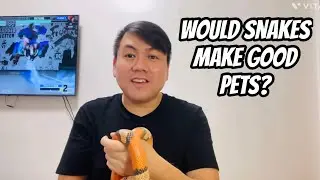 Q&A | Do Snakes Make Good Pets? | Exotic Pets