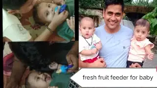 fresh fruit feeder for baby review